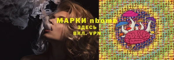 твердый Арсеньев