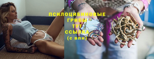прущие грибы Нея